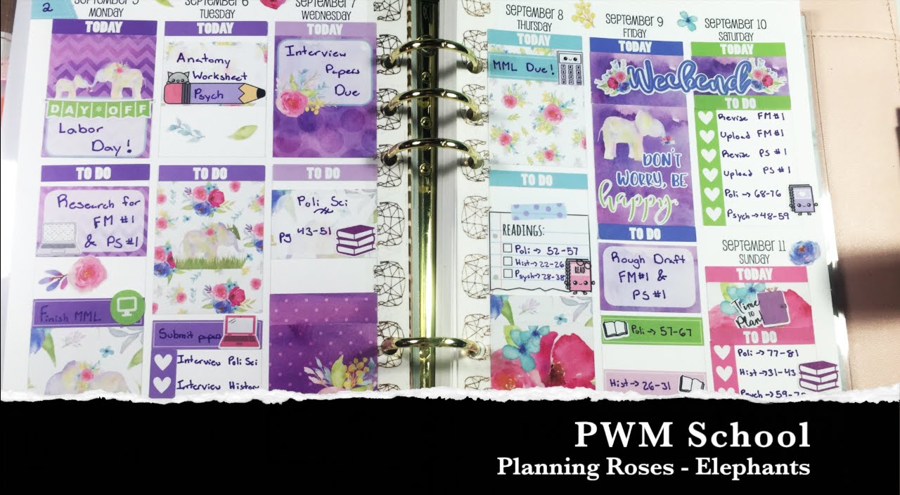 PWM School // ft. Planning Roses - Elephants