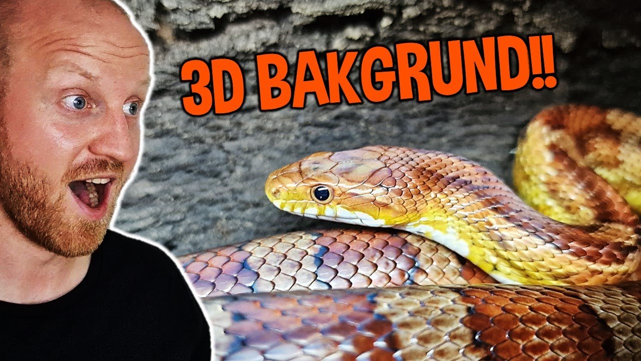 Bioaktivt Terrarium: Majsorm! [3D Backgrund]