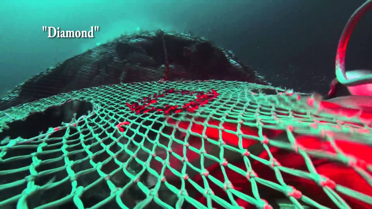 Catch limitation in demersal seine fishing