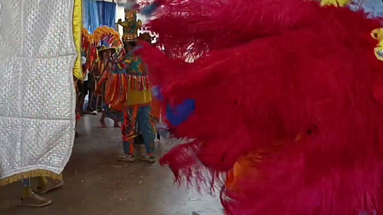 Apresentação do Boi Cara Branca- Brincantes nas Escolas- EREM Suzel Galiza- Limoeiro-PE 27/02/2025