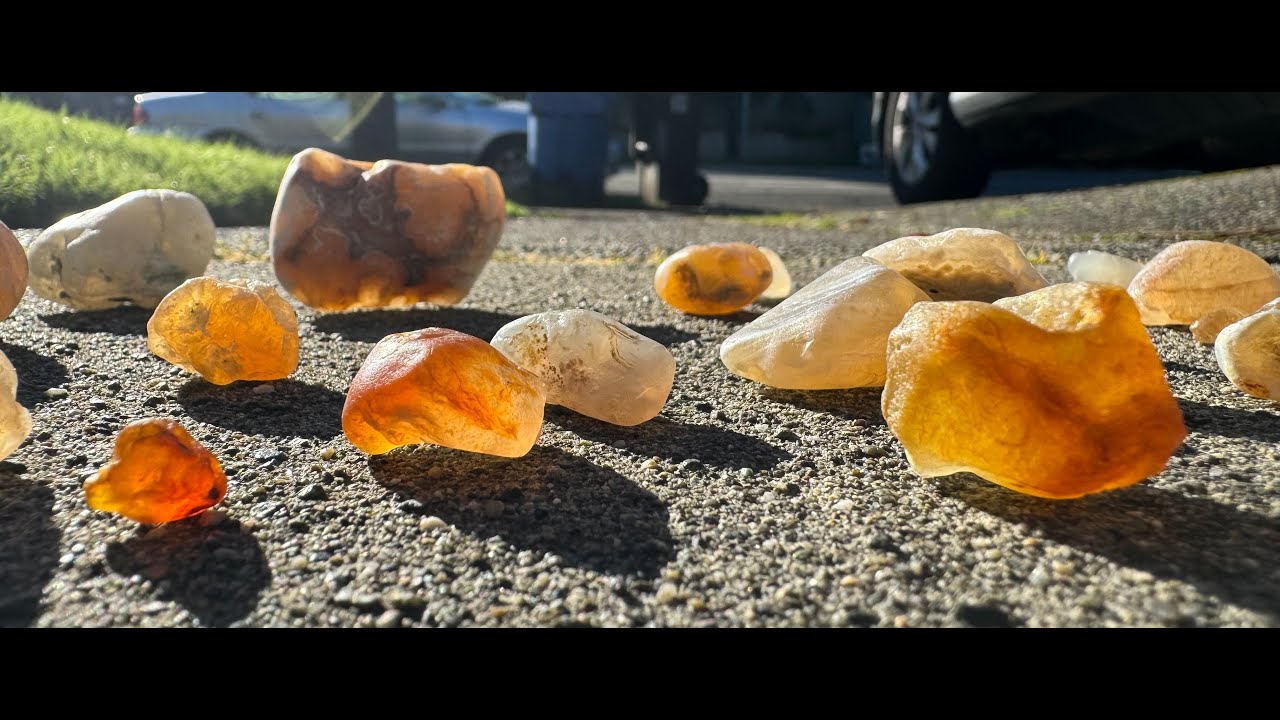 Whidbey Island WA January 2024! Rockhounding with Shaunsquatch! and Nik aka Klaus!