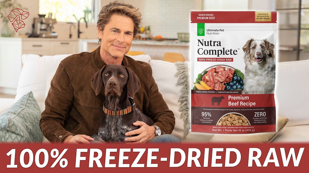 Rob Lowe's Nutra Complete Dog Food Review: Worth the Hype?