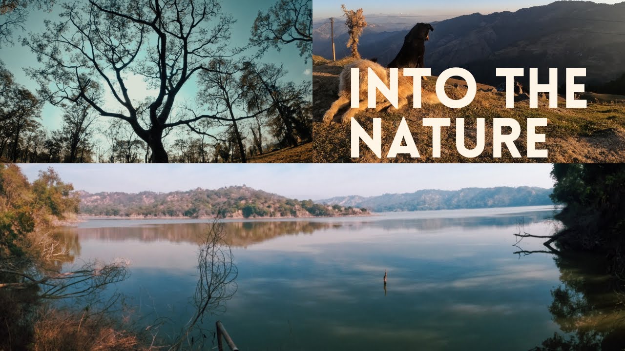 The Best of Nature | Cinematic Travel Video | Gopro Hero 8 Black #GoproHero8