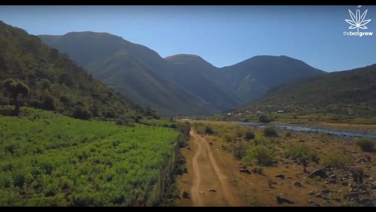The Best Grow in South Africa, going where our customers need us.