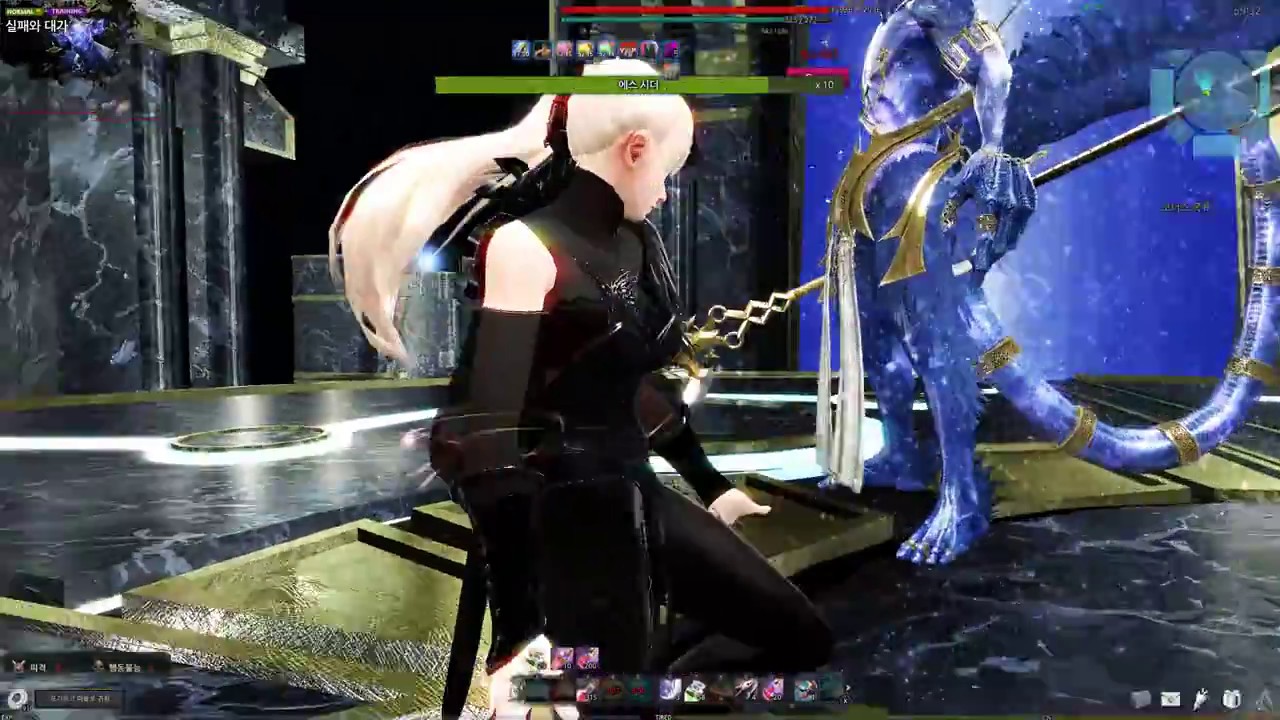 [Vindictus] Delia Aes Sidhe  No Hit 6:51 / 델리아 에스시더 노피격 6:51