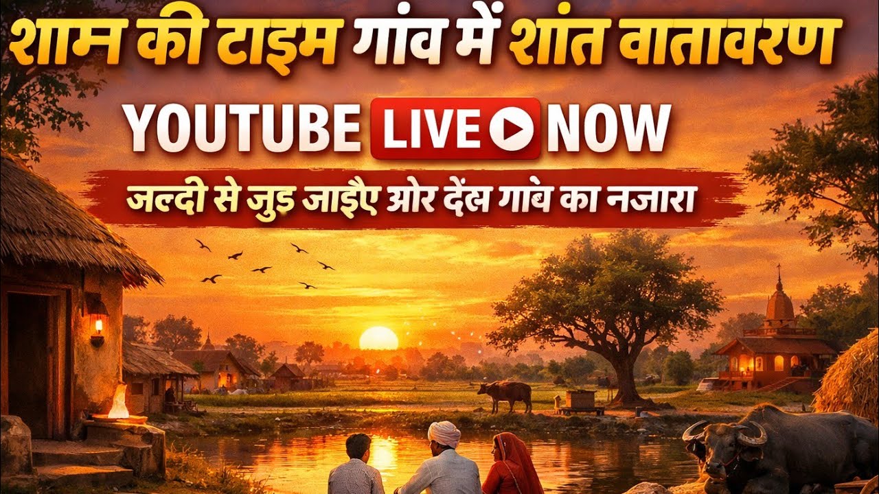 yk rohit 0 is live!शाम की शांति 🌇 गांव का सुकून भरा नजारा | Live Village View..