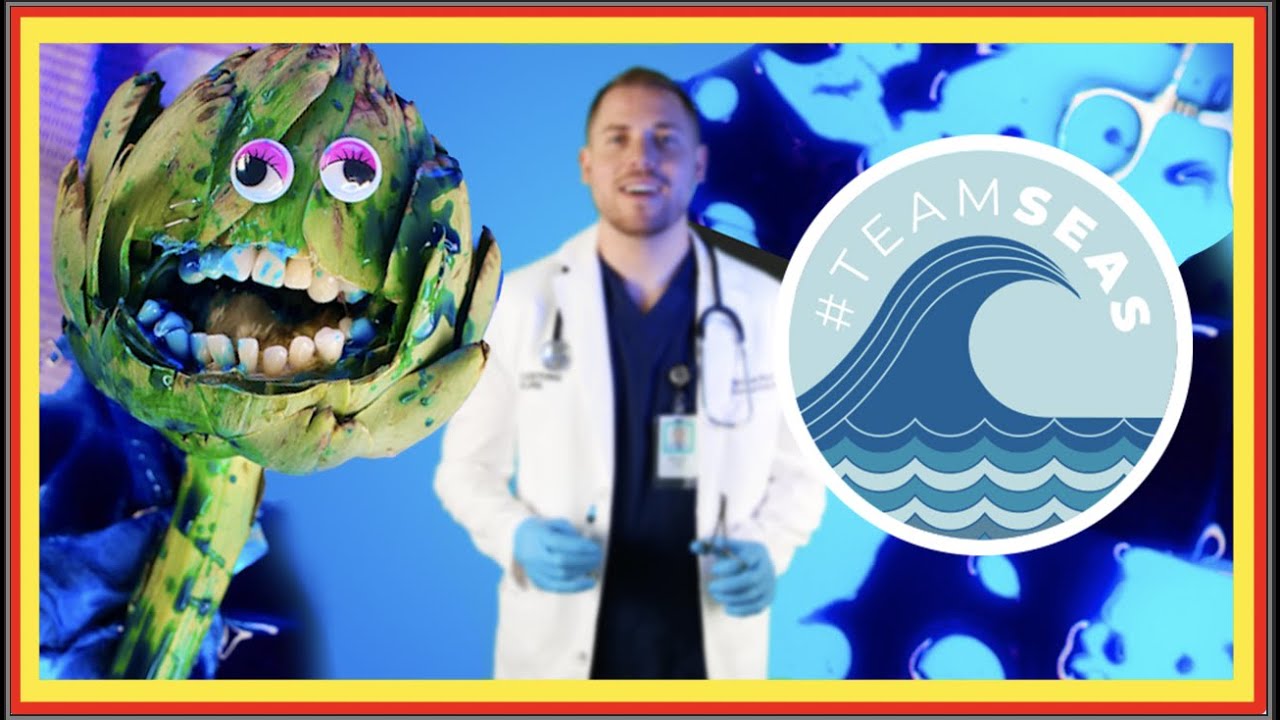 Emergency Fruit Surgery with #TeamSeas! #MrBeast launches campaign! #DiscountDentist  #FruitSurgery