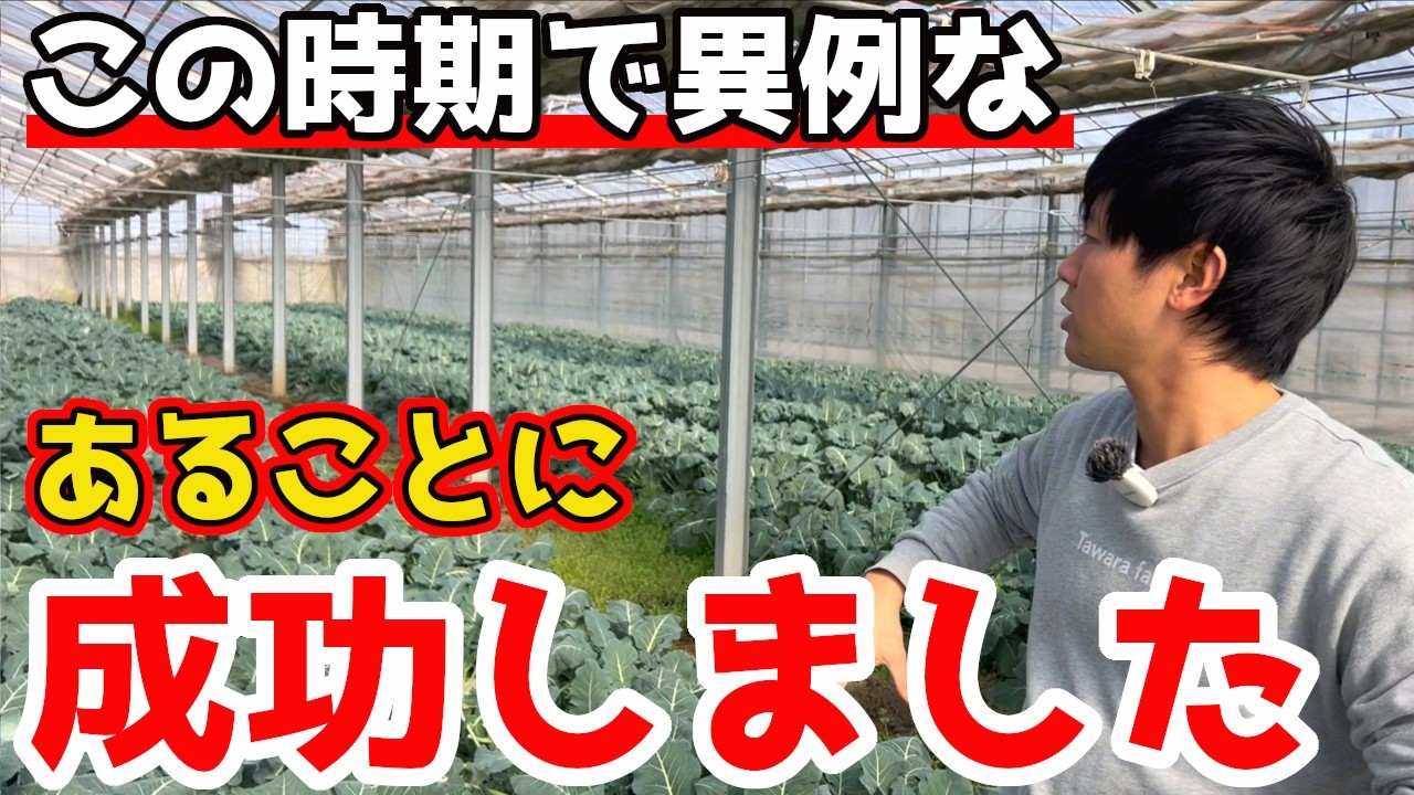 この時期には難しいはずの○○が成功！？