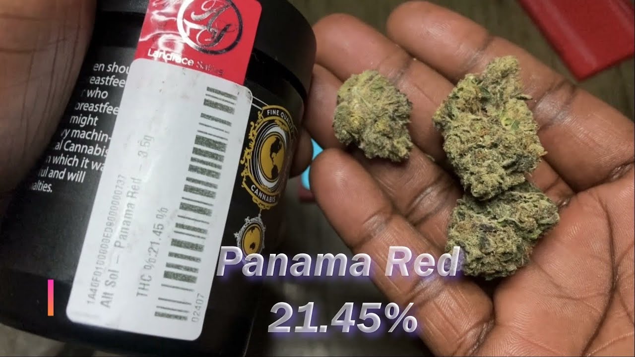 Panama Red 21.45% THC brought to you by ALTERNATIVE SOLUTIONS from Cannabist