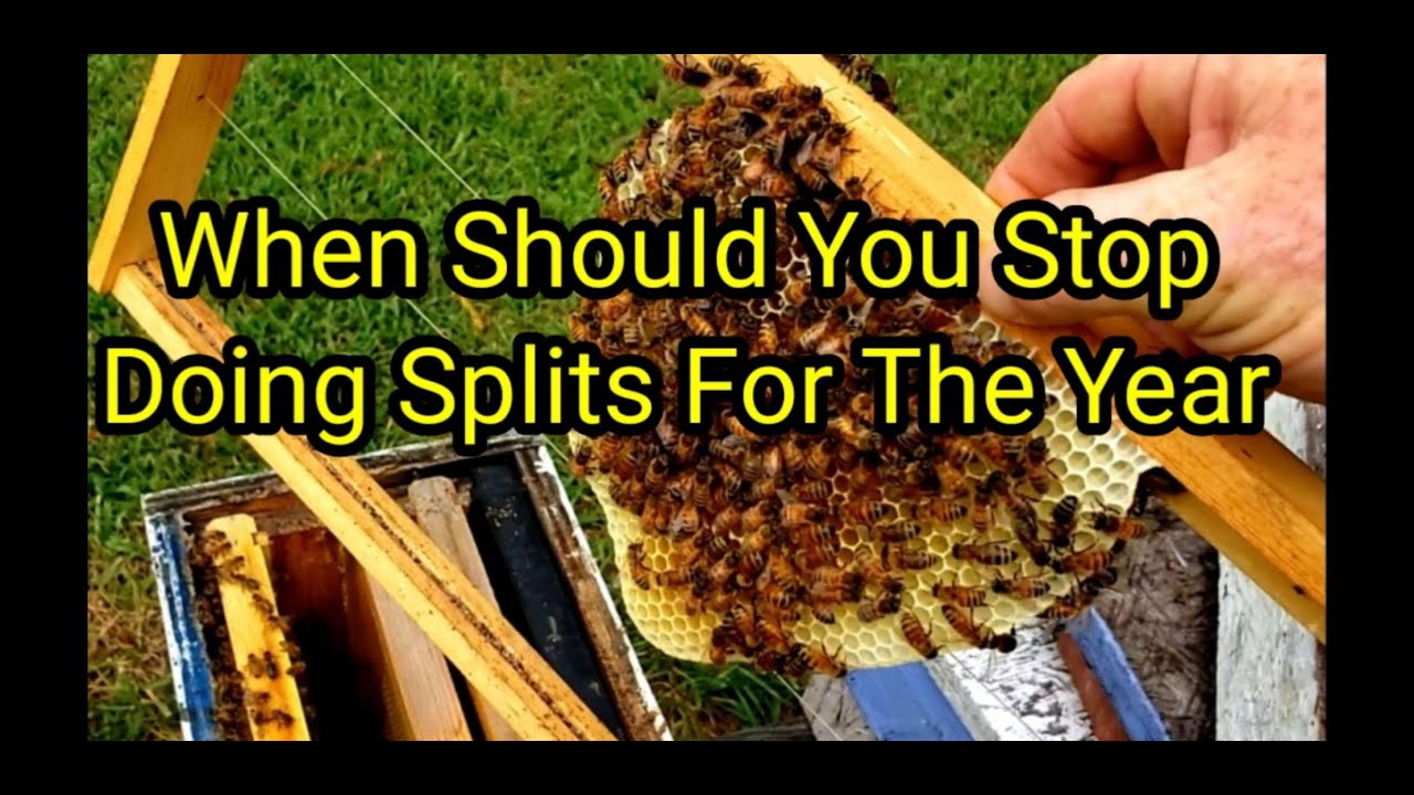 When Should You Stop Doing Splits For The Year?