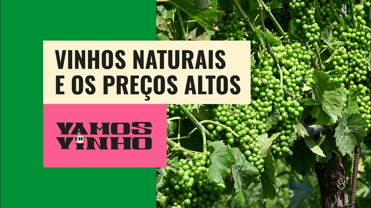 Por que vinho natural é tão caro no Brasil? Sommelière revela motivos