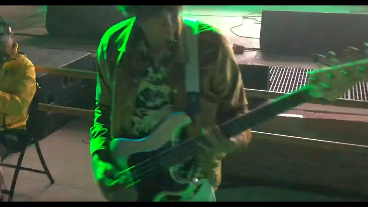 The Strokes - Nikolai Jumps Off Stage & Reptilia  (Live at Red Rocks)