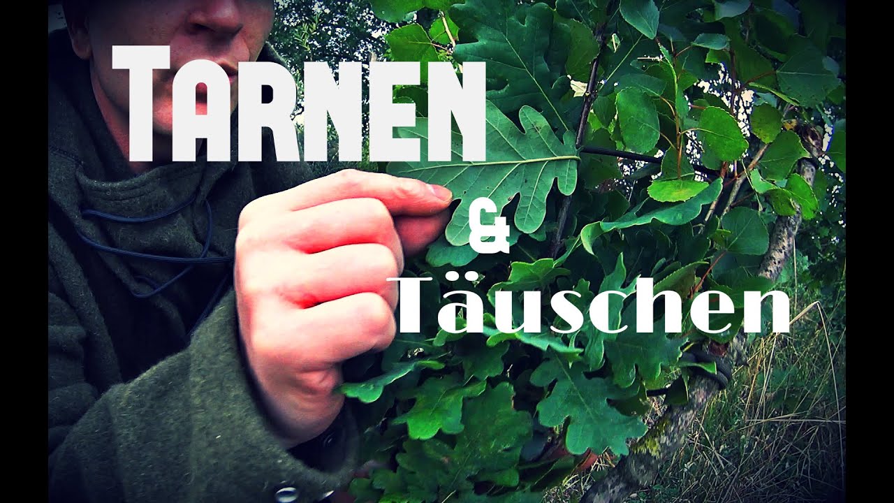Tarnfächer, Tarnen und Täuschen