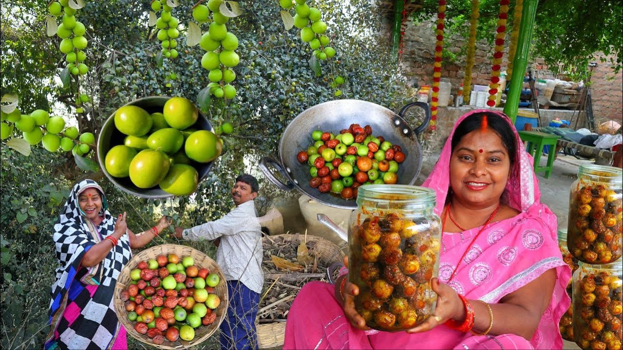 बेर की  ऐसी  नई  रेसिपी जो आप देखते ही बनायेंगे | Jujube/ ber achar/Berry Pickle/aachar