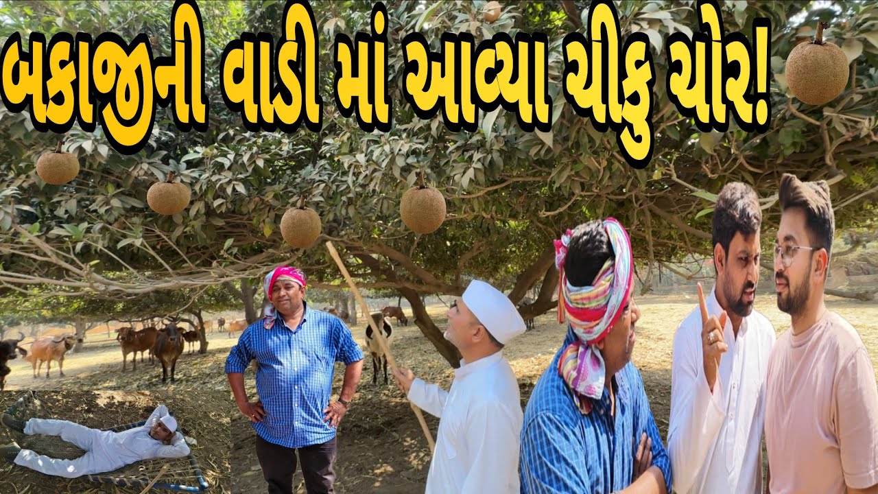 બકાજી ની વાડીમાં આવ્યા ચીકુ ચોર | Gujarati comedy video | funny video| Gj02Kingofbanka 