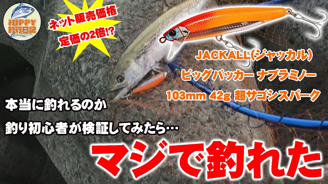 定価の２倍！？ビッグバッカー超サゴシスパークが本当に釣れるのか初心者が検証してみたら・・。