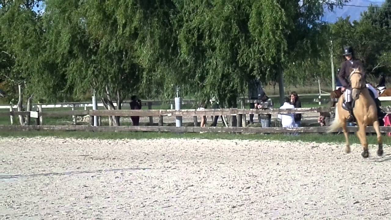 Notre 1er CSO en side Pull !!