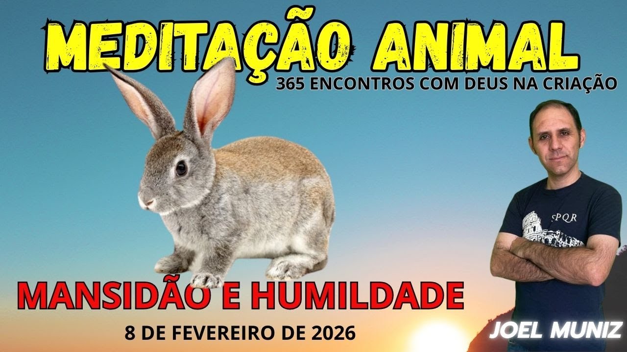 MANSIDÃO E HUMILDADE - 08 DE FEVEREIRO DE 2026 - MEDITAÇÃO ANIMAL