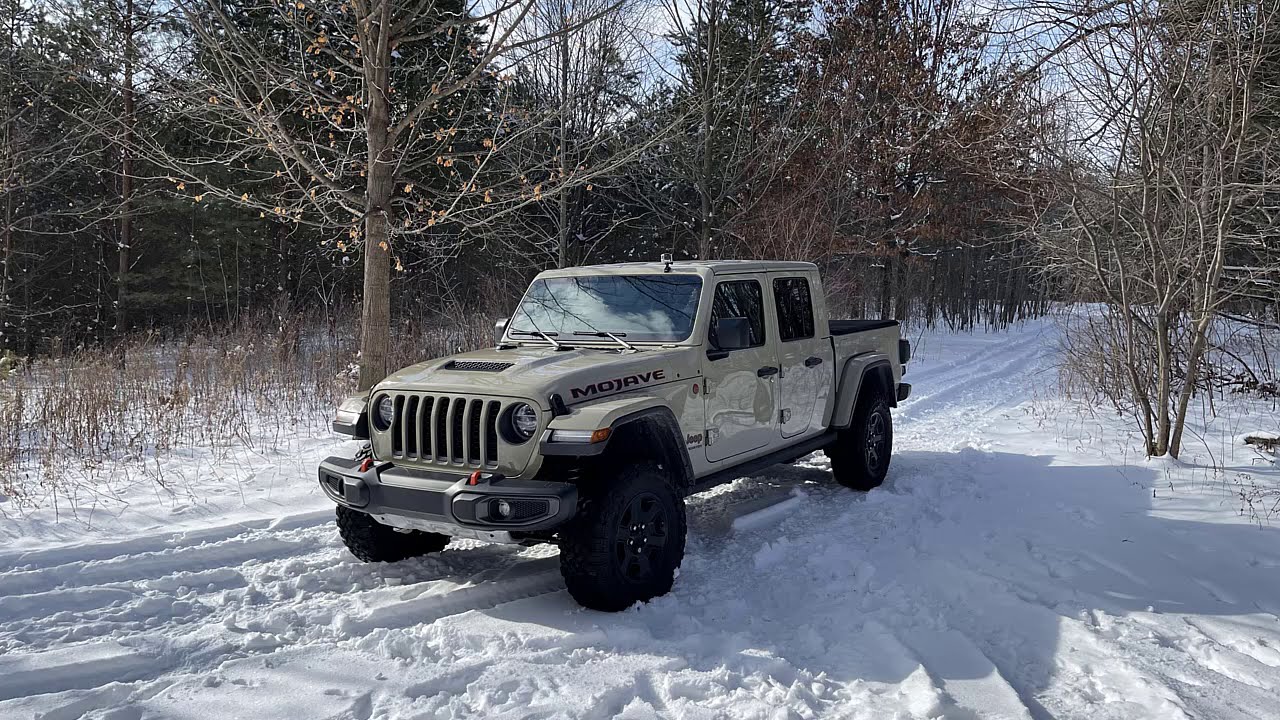 Fun in the snow.