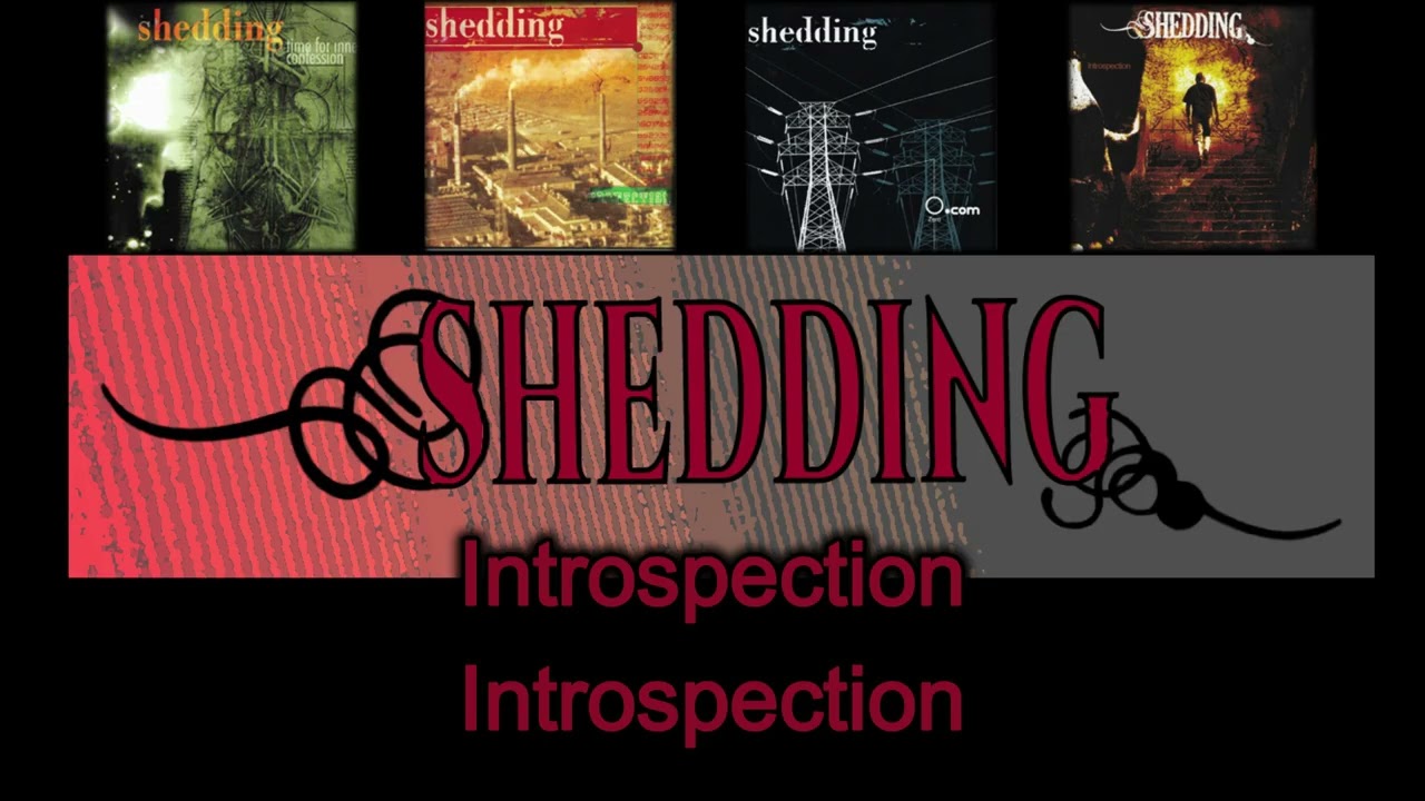 Shedding introspection introspection
