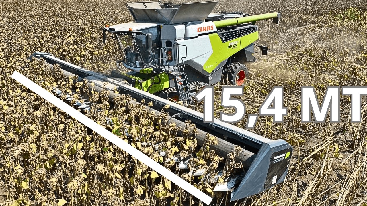 УБОРКА ПОДСОЛНЕЧНИКА CLAAS LEXION 8600 NARDI SUNSTORM 15 МЕТРОВ