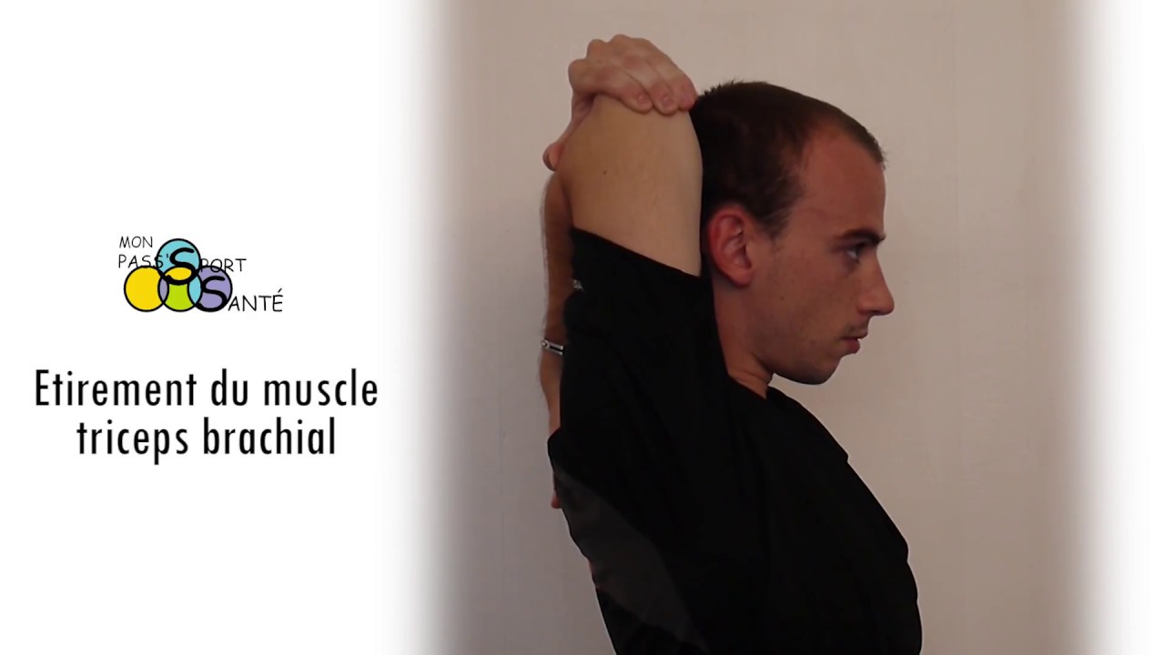 MP2SA - E4 - Étirement du muscle triceps brachial