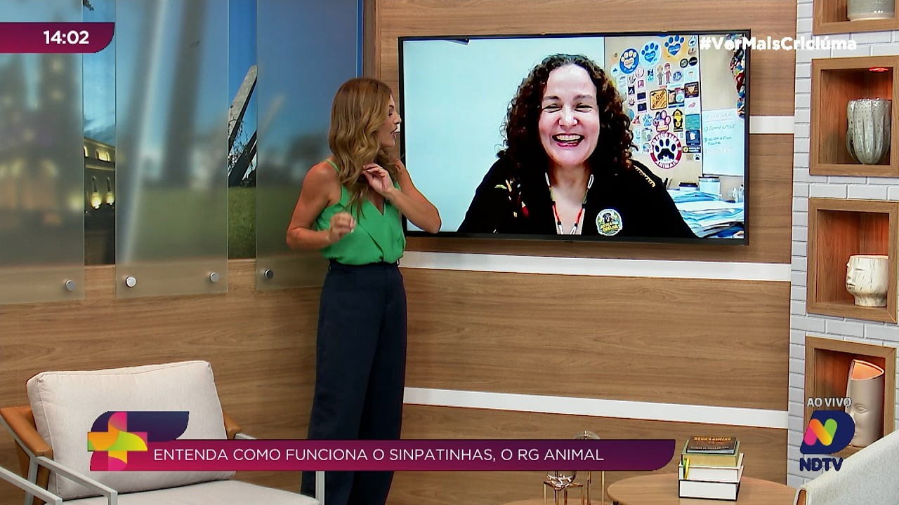 Cães e gatos ganham RG animal com cadastro nacional