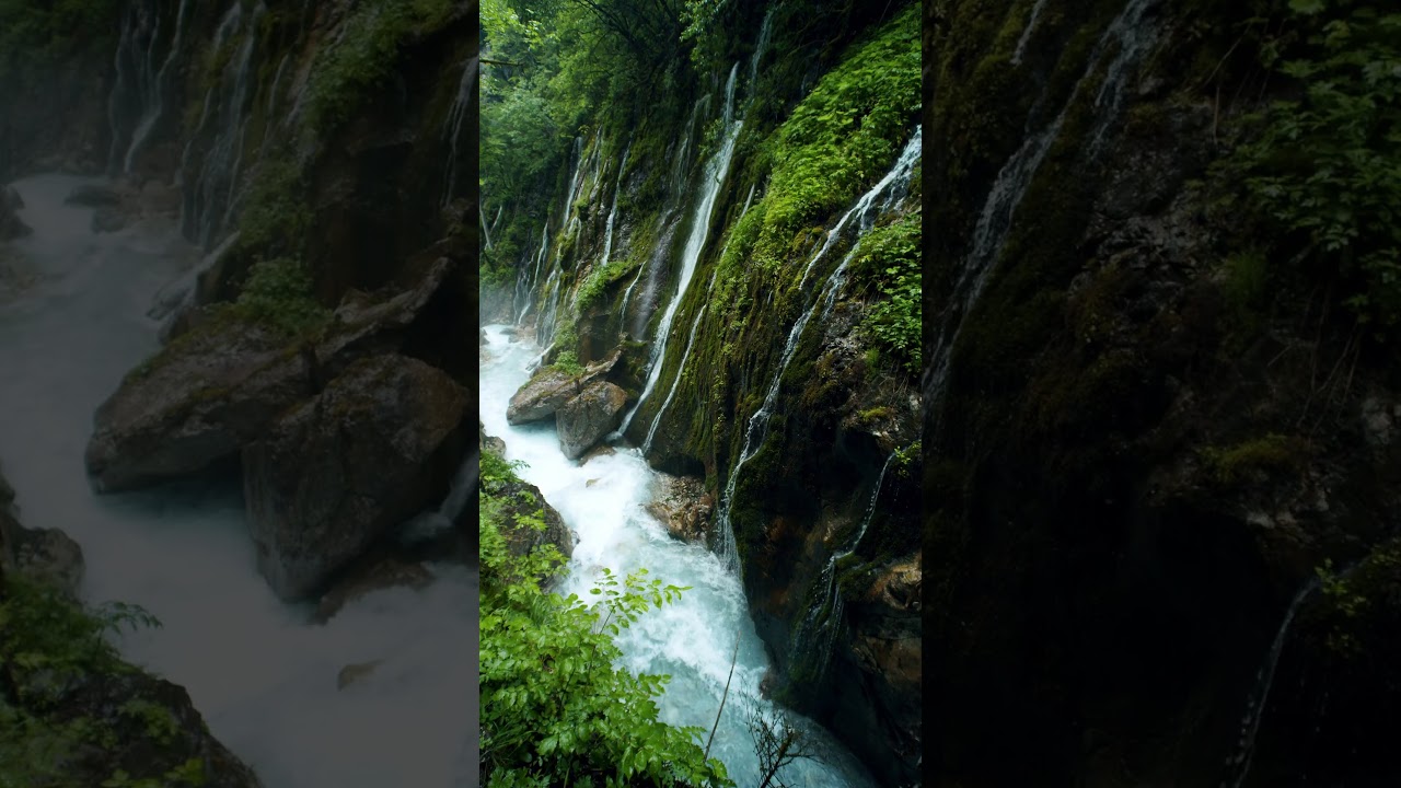 Nature&rsquo;s Pause: Just 15 Seconds