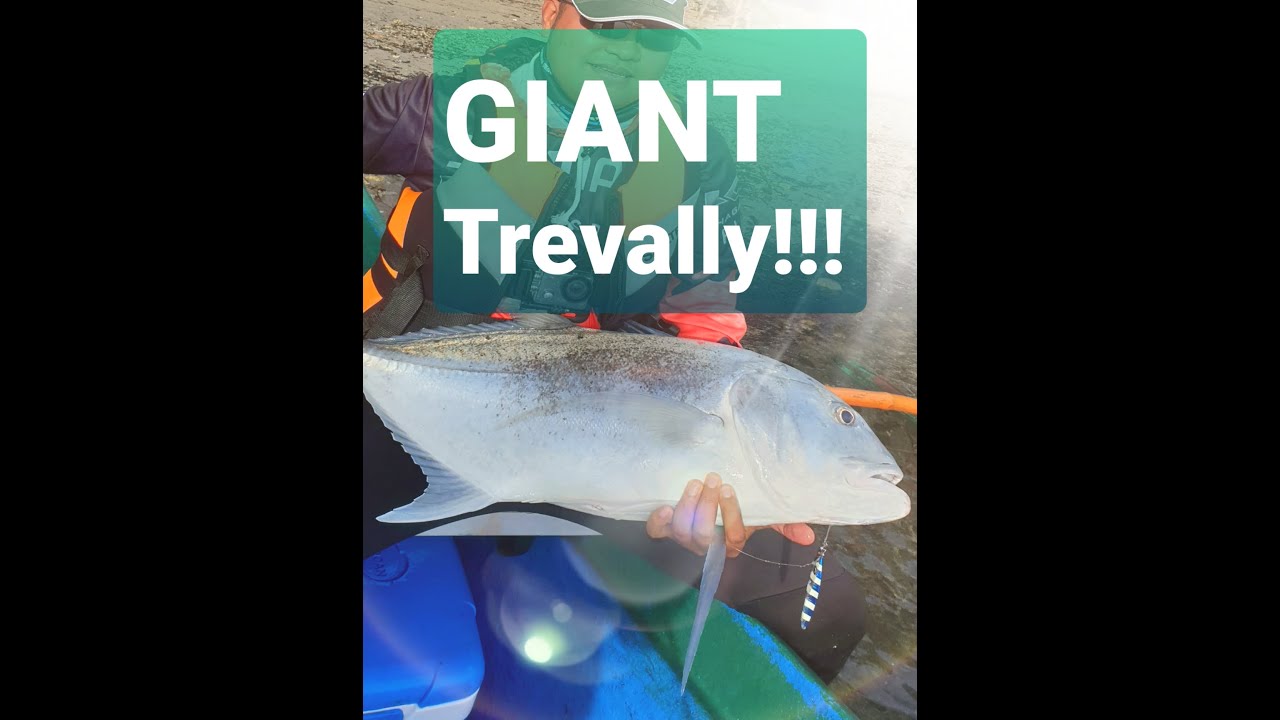 JIGGING Video #1 | 8kg GIANT TREVALLY | Fishing in Philippines |