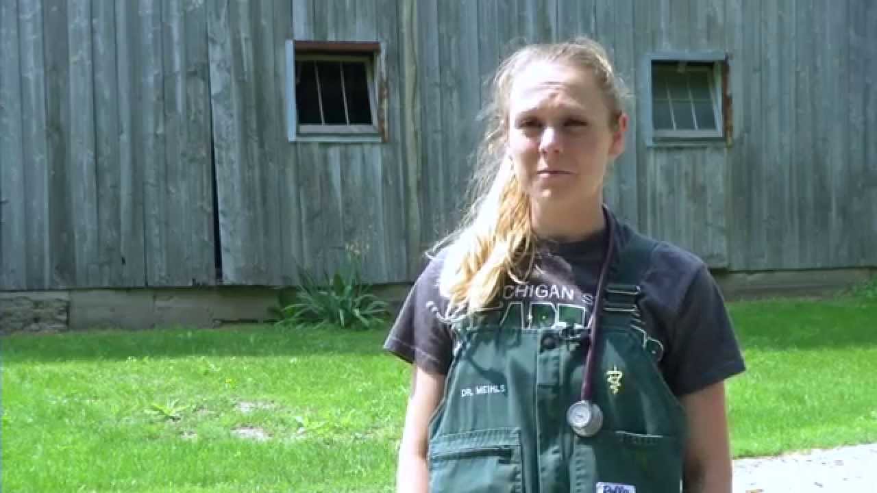 Ag Careers - Veterinarian / Dr. Hannah Meihls