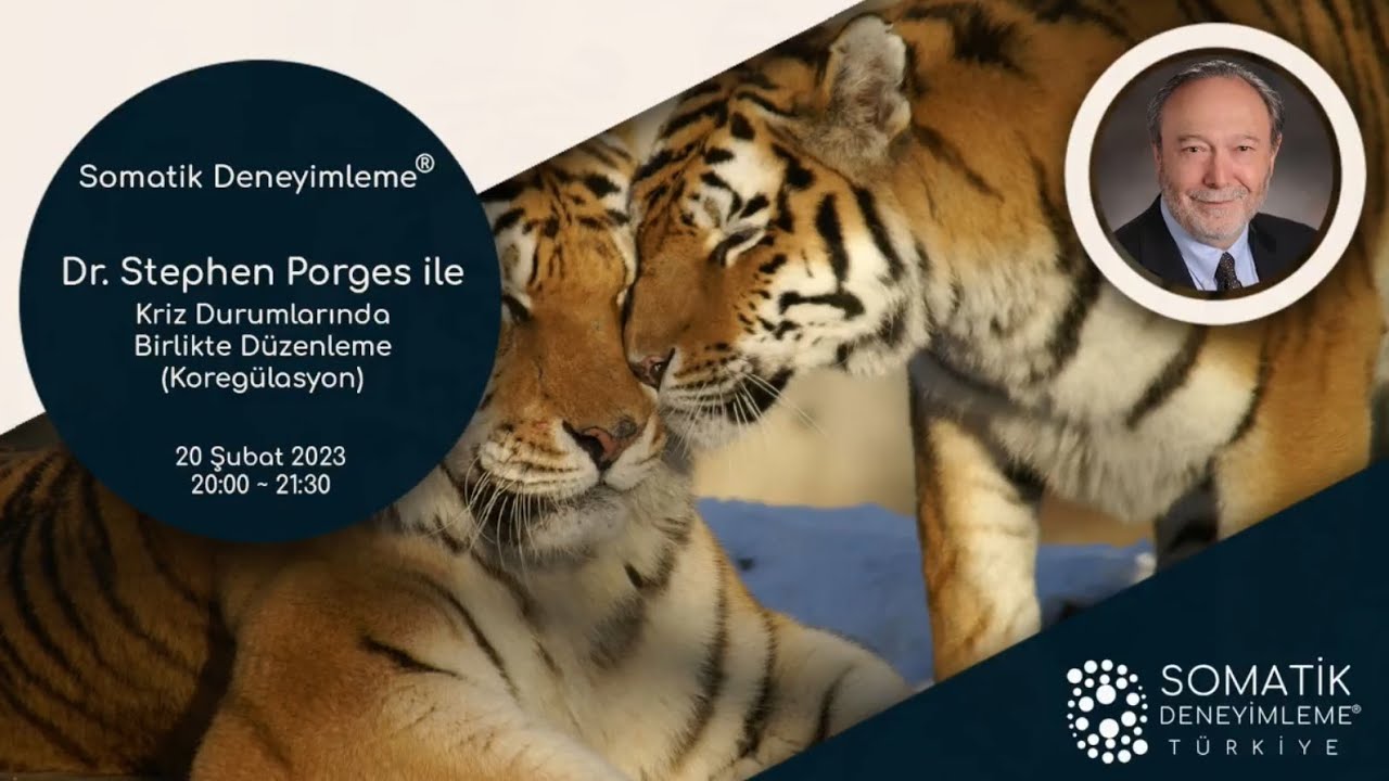 Dr. Stephen Porges ile Kriz Durumlarında Birlikte Düzenleme (Koregülasyon) (20 Şubat 2023)