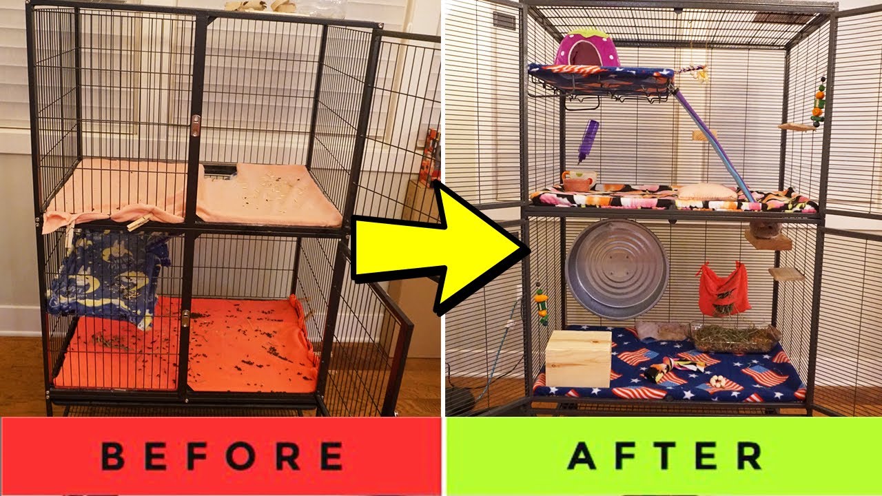 ✨Chinchilla Cage Makeover (new cage) ✨