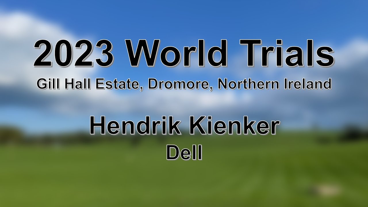 Hendrik Kienker - Dell - 2023 World Sheep Dog Trials