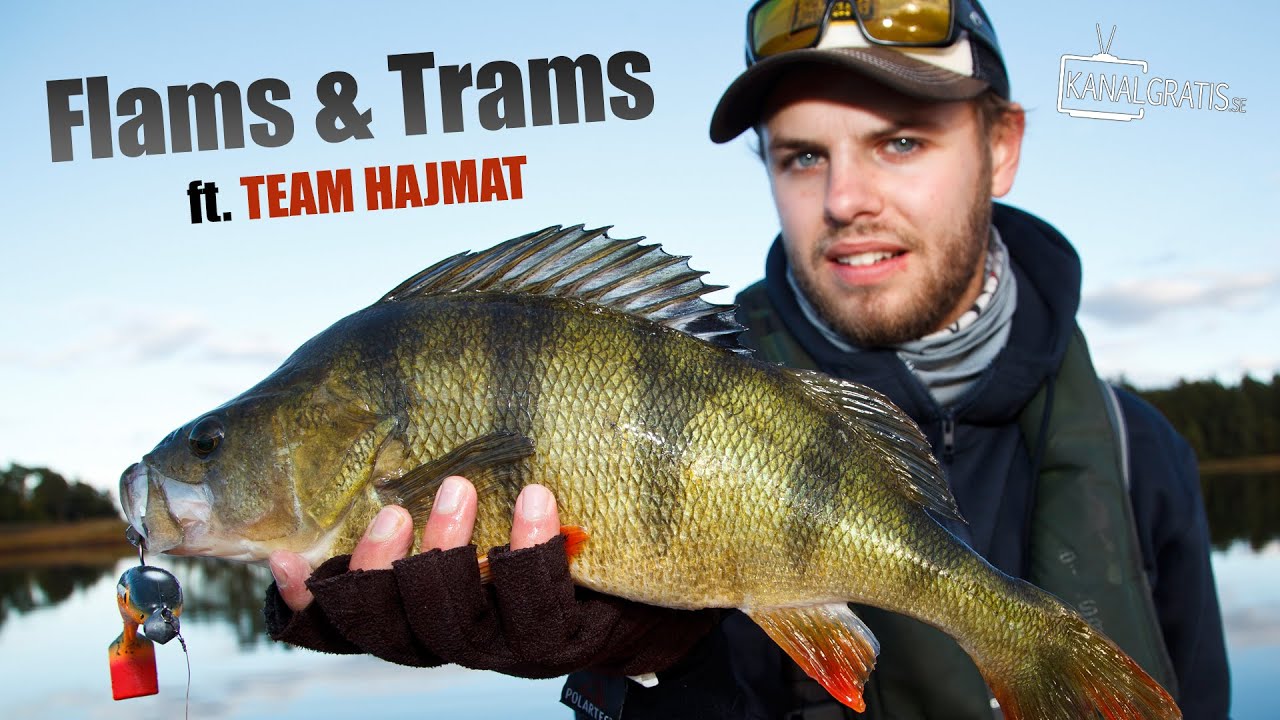 Flams & Trams ft. Team Hajmat | Perch Fishing with McRubber Big Bass