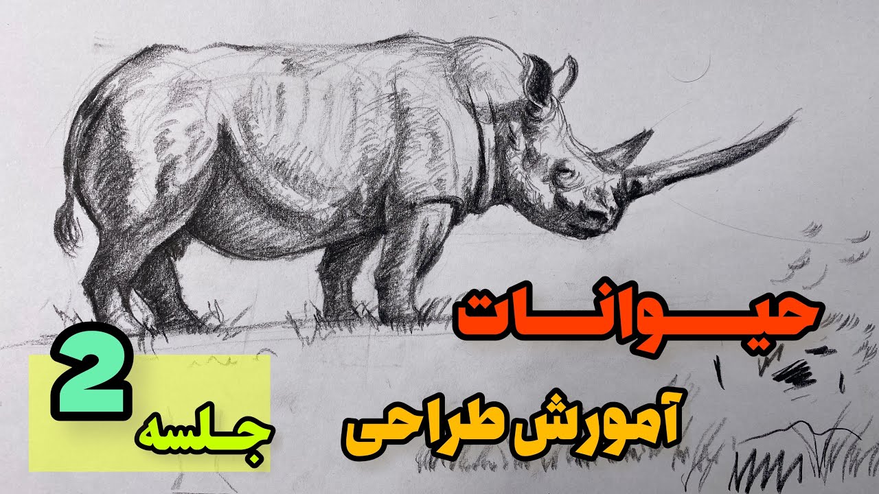 طراحی حیوانات جلسه ۲