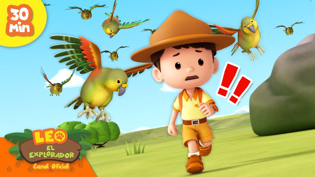 🪶🐦 ¡Amigos emplumados! 🦅🕊️ Loros, Emú y más | Leo, El Explorador | Animación Niños