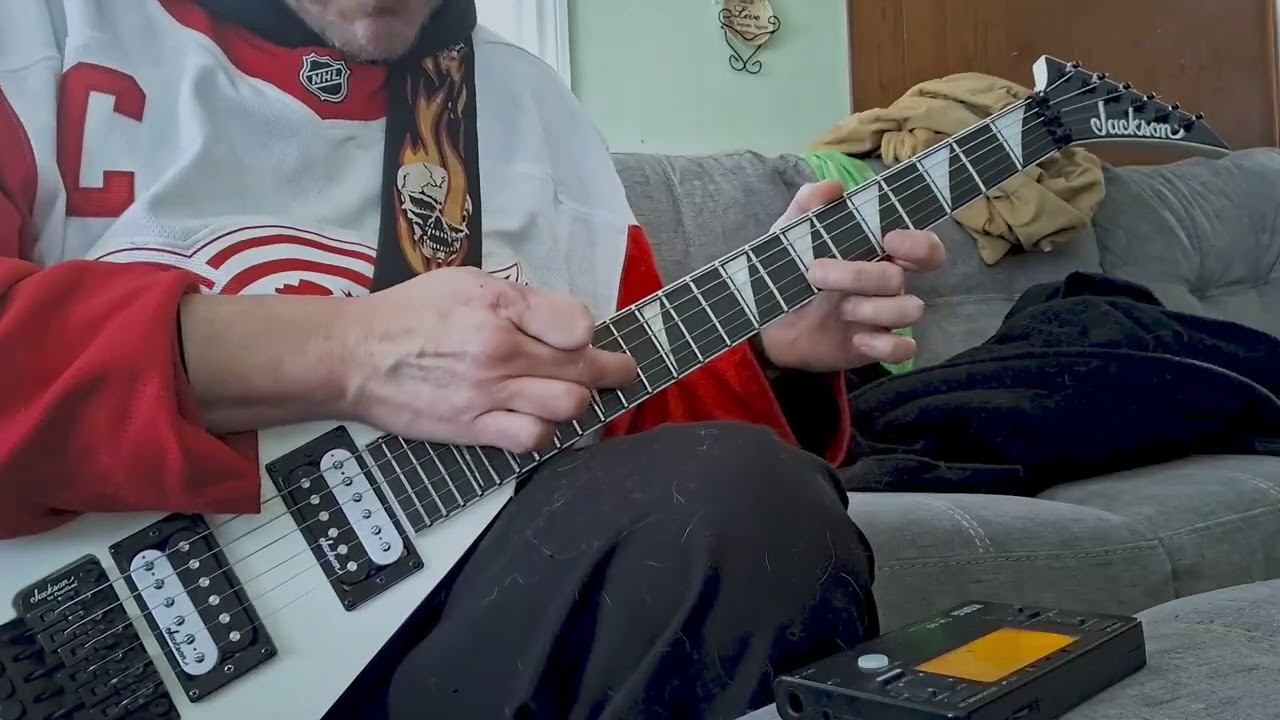 Flesh And The Power It Holds (cover)