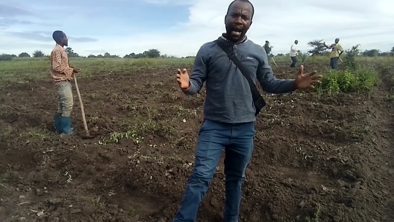 TENGENEZA MILION 10-15 KTK HEKARI 1 YA NYANYA NA PUNGUZA MATUMIZI KWA KUTENGENEZA MATUTA KAMA HAYA: