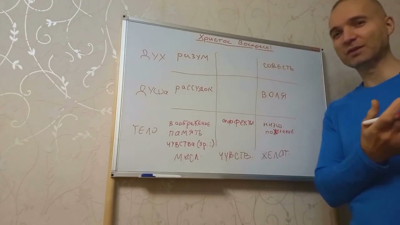 0342 - ОБЩЕЕ УСТРОЙСТВО ЧЕЛОВЕКА ПОДРОБНО - Курс ДОбра, год 2-й