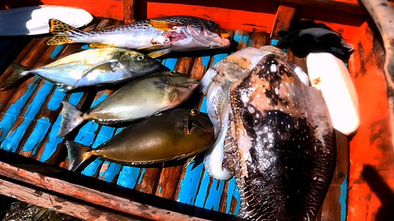 BIYAYA NG DAGAT 