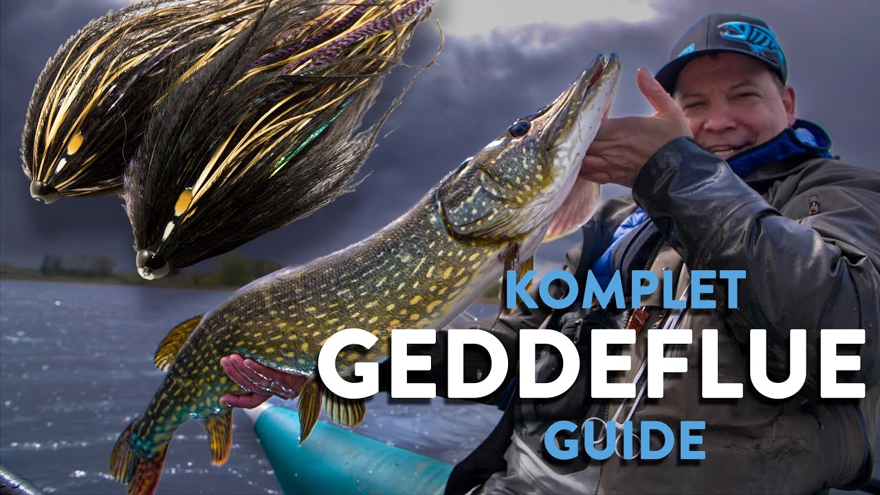 GUIDE TIL GEDDEFLUE - Fang gedder på flue!