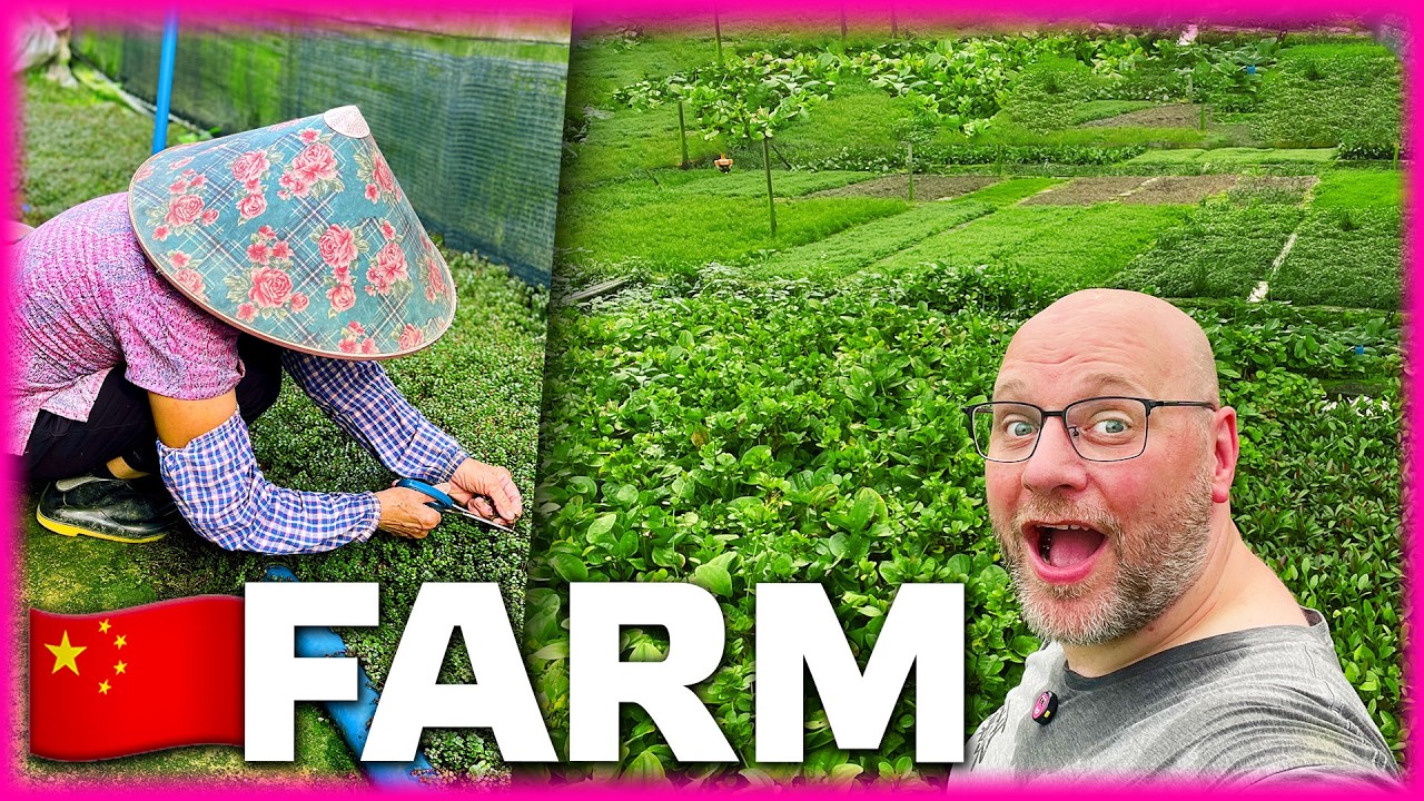 Wasserpflanzenfarm in China - Ein Blick hinter die Kulissen!