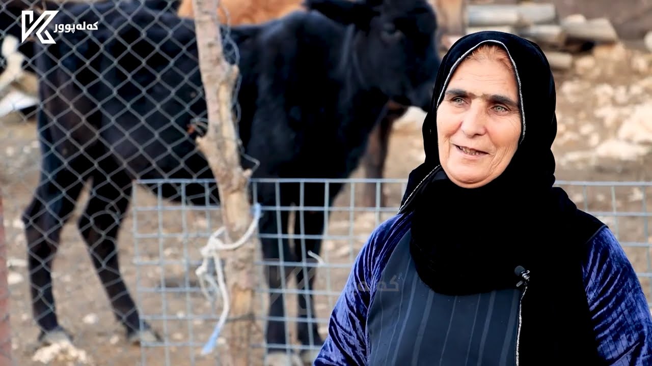 رۆژێك لە گوند - گوندی چیوەی سەروو