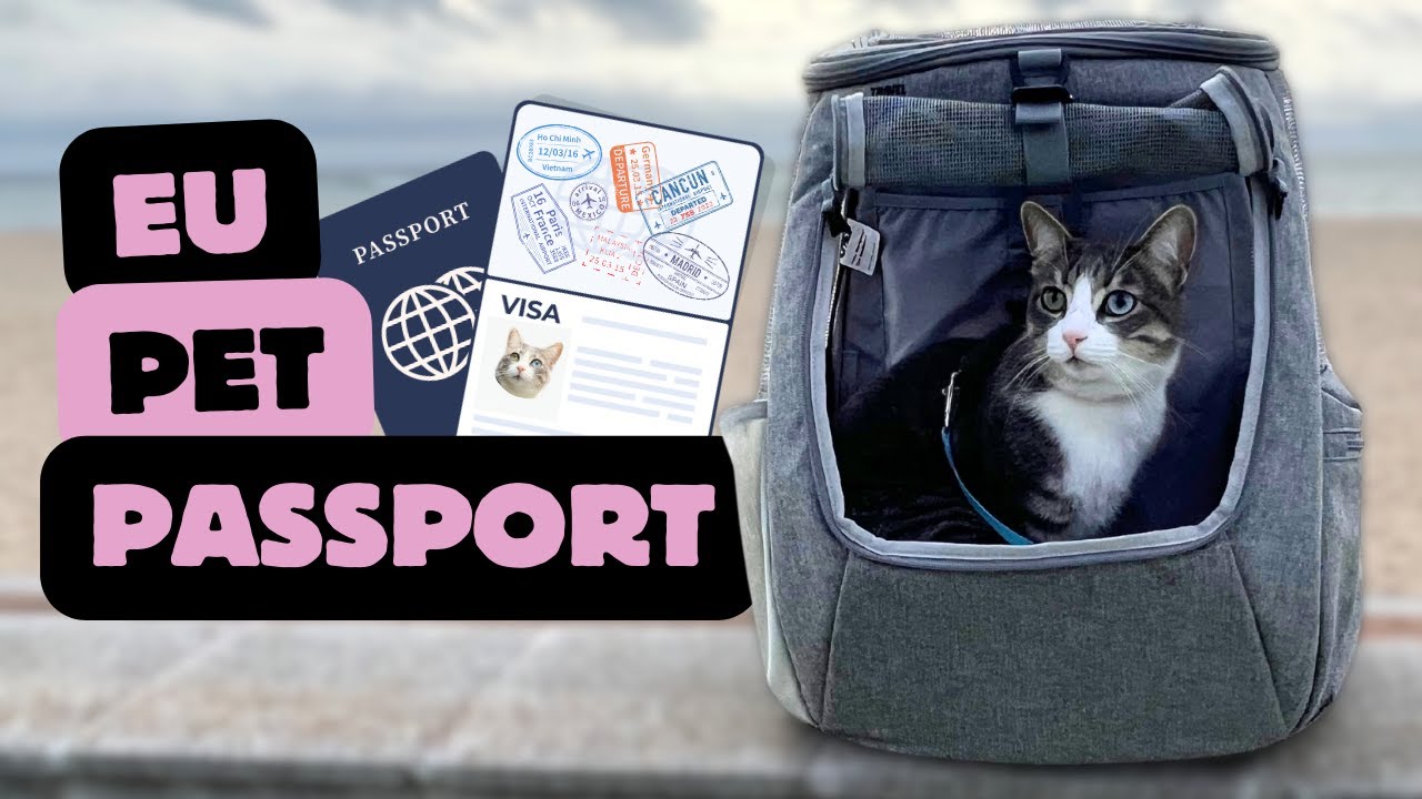 How I Got an EU Pet Passport (Without Being an EU Citizen)