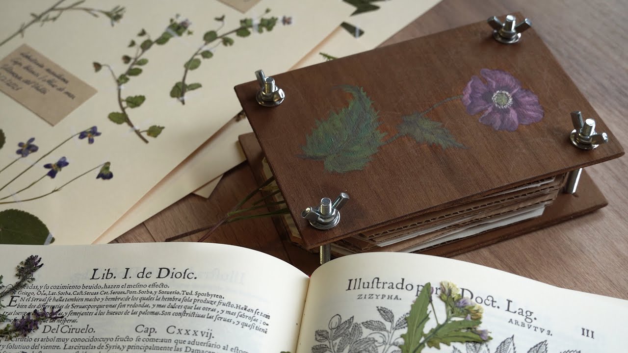 DIY PRENSA PARA SECAR FLORES para manualidades y herbarios