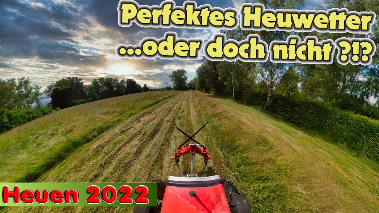 Mähen und Wenden  - Heuen 2022 - 1. Schnitt - Fahr - Massey Ferguson - Perfektes Heuwetter