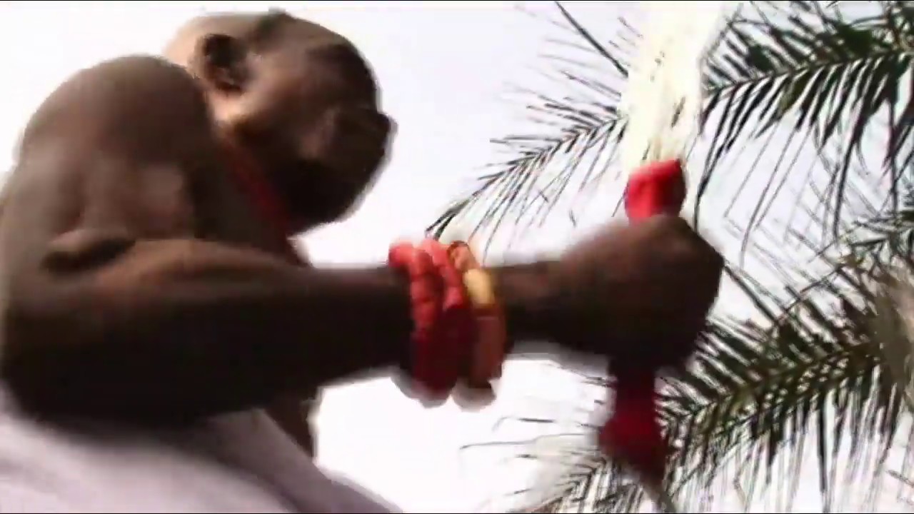 Iselogbe To Our Beloved Edo Viewers