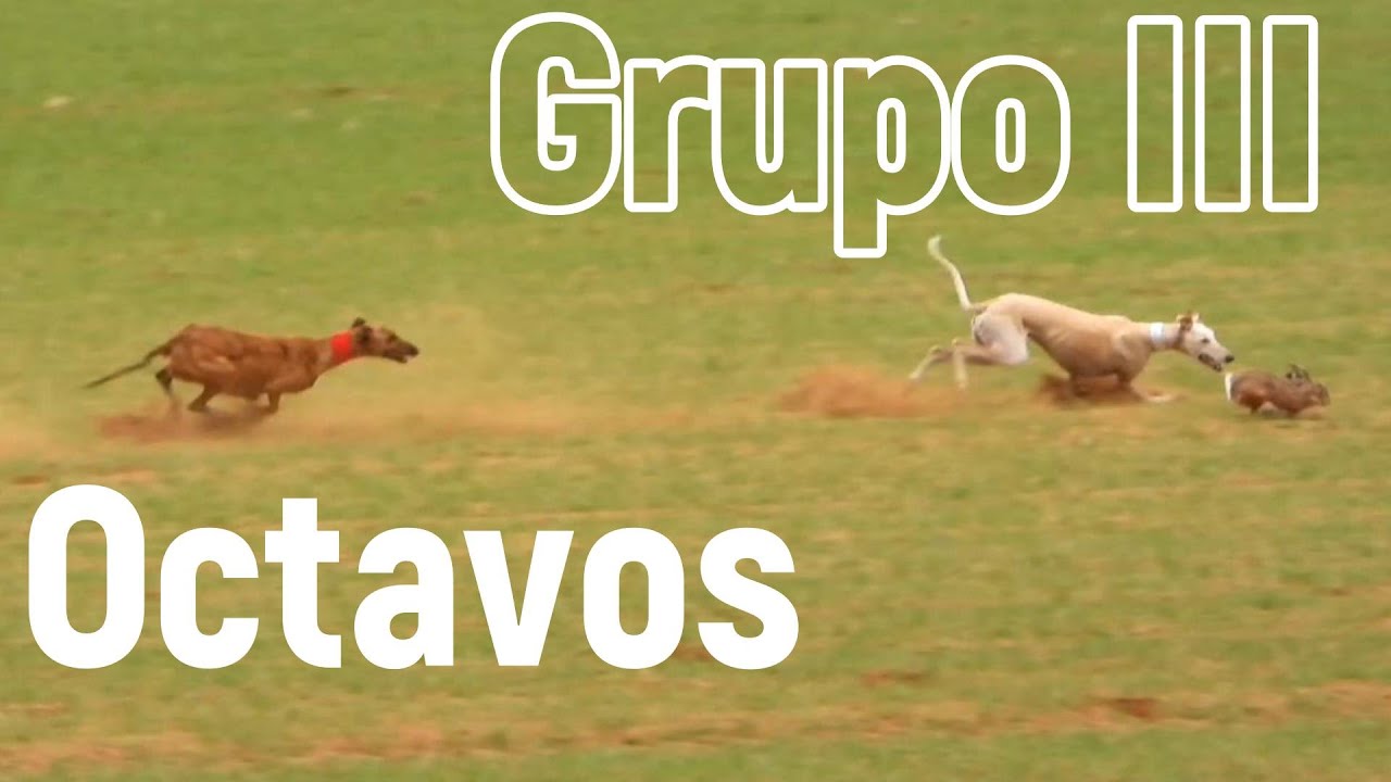 Octavos del Grupo III en las Tramadas, 7 Diciembre 2025