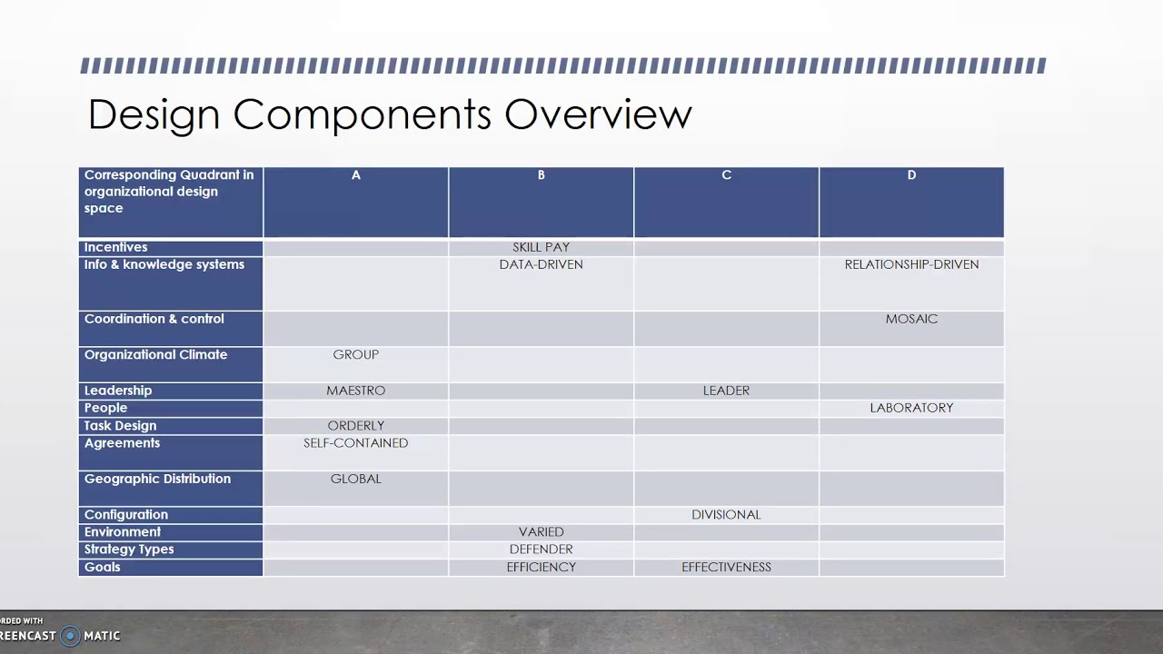 Organizational Design Audit