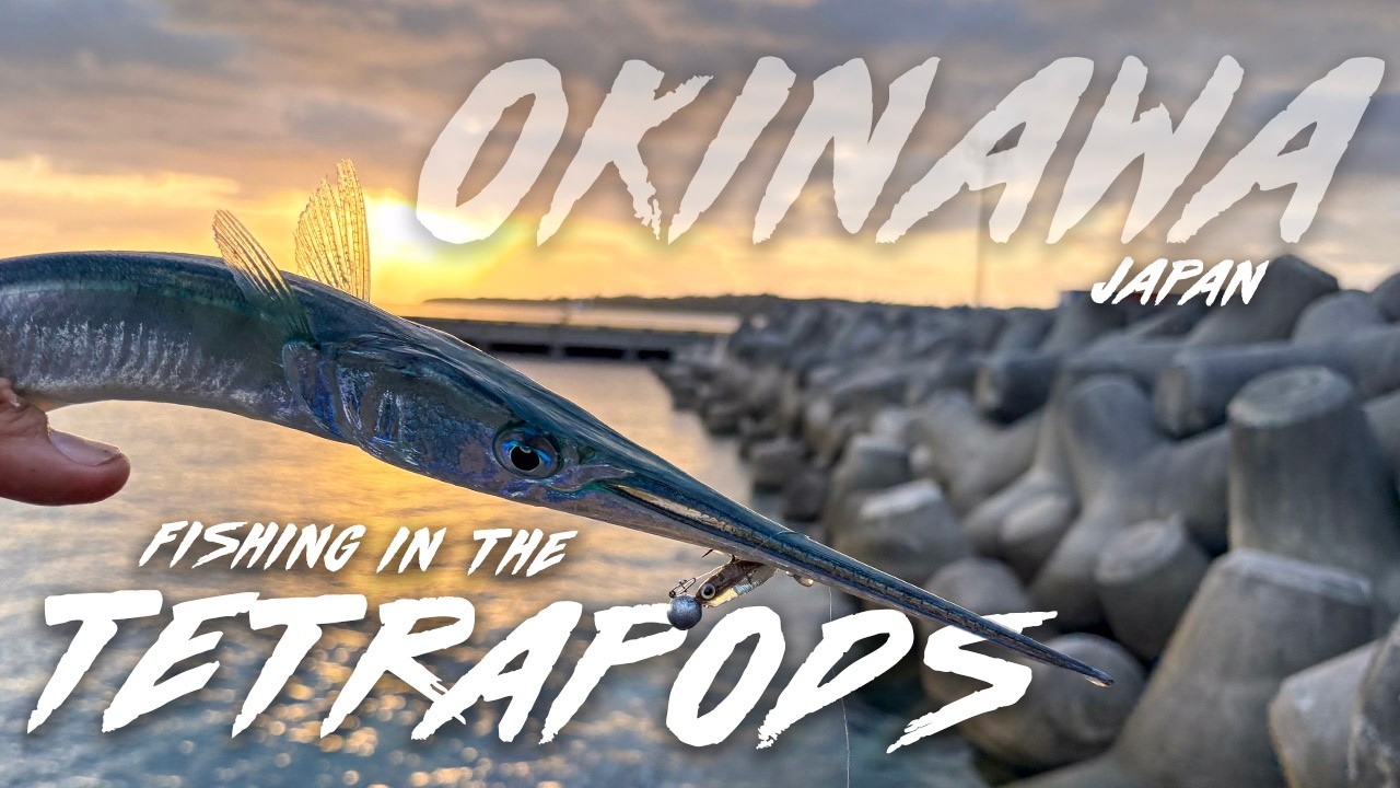 An Evening of LRF in the Tetrapods. Okinawa, Japan.